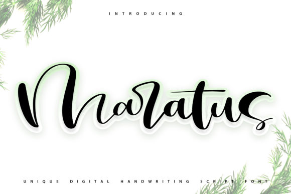 Maratus: A Script Font for Crafting with Character