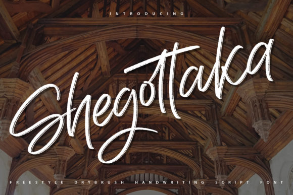 Shegottaka: The Font That Elevates Your Digital Brand